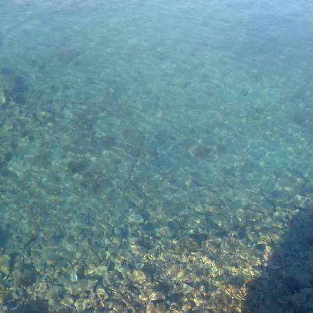 Vesna Apartman Luka